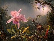 Martin Johnson Heade Cattleya Orchid and Three Brazilian Hummingbirds USA oil painting artist